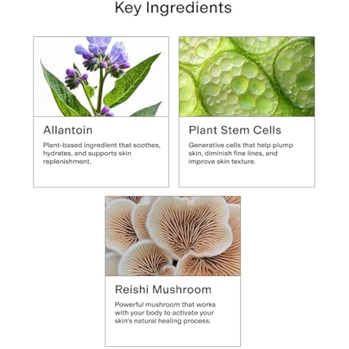 CLEARstem - CELLRENEW - COLLAGEN STEM CELL SERUM - ACNE + YOUTHFUL SKIN FACE SERUM - HYALURONIC ACID, REISHI, ALOE VERA - FACIAL SKIN CARE PRODUCTS - VEGAN, GLUTEN FREE, CRUELTY FREE - 1 FL OZ / 29ML - Image 4